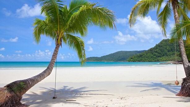 A beach with white sand and palm trees.