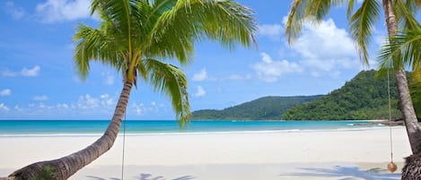 Aan het strand, wit zand, vissen