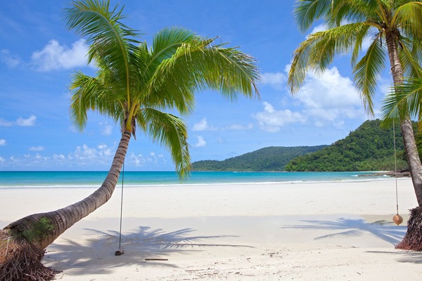 On the beach, white sand, fishing