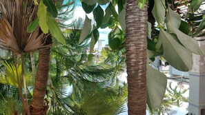 Garden - Temple Resort & Spa Port Douglas (Craiglie)