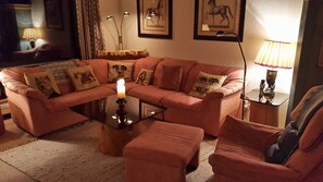 Télévision, cheminée, lecteur de DVD, chaîne hi-fi