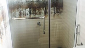 Cabina de ducha con paredes de vidrio y un inodoro a la derecha.