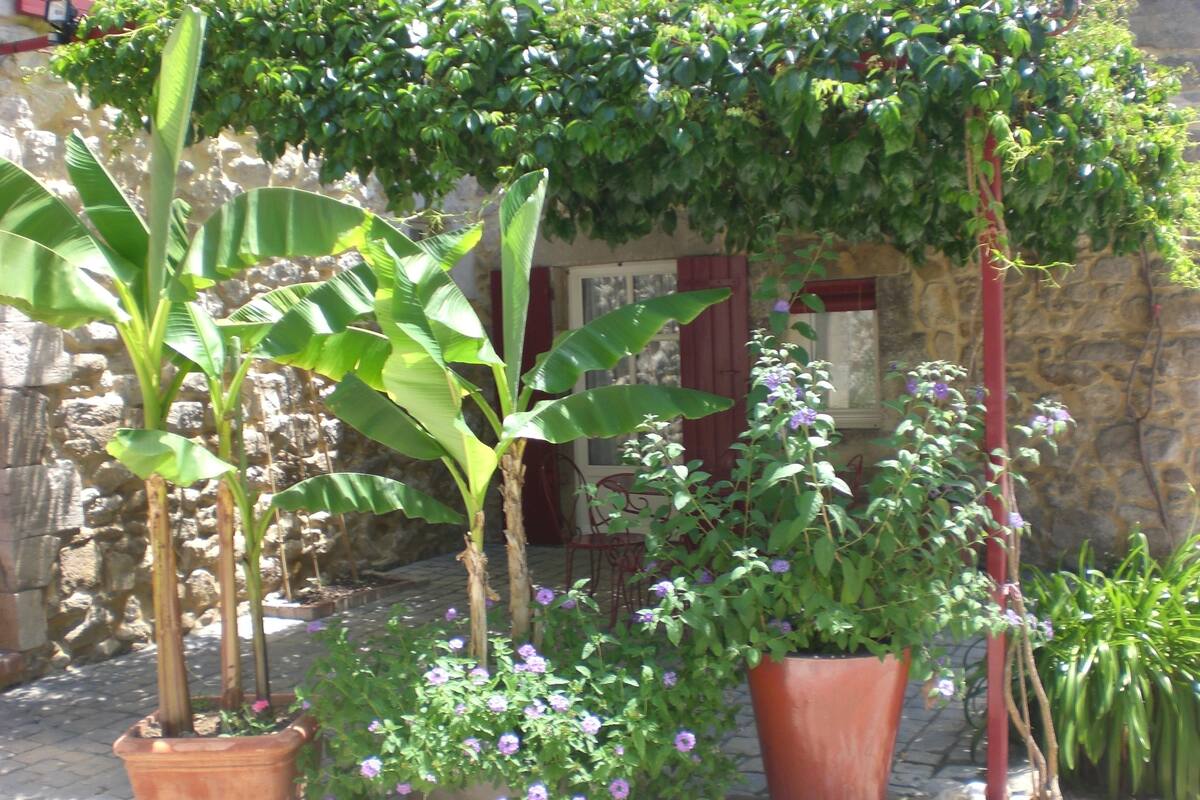 Individually decorated, individually furnished, blackout curtains