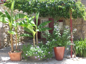 Individually decorated, individually furnished, blackout curtains