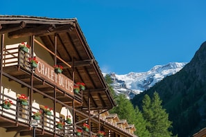 Exterior detail - Chalet du Lys Hotel (Gressoney-la-Trinite)