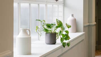 A white interior space with a window, a white pitcher, and a potted plant on a ledge.