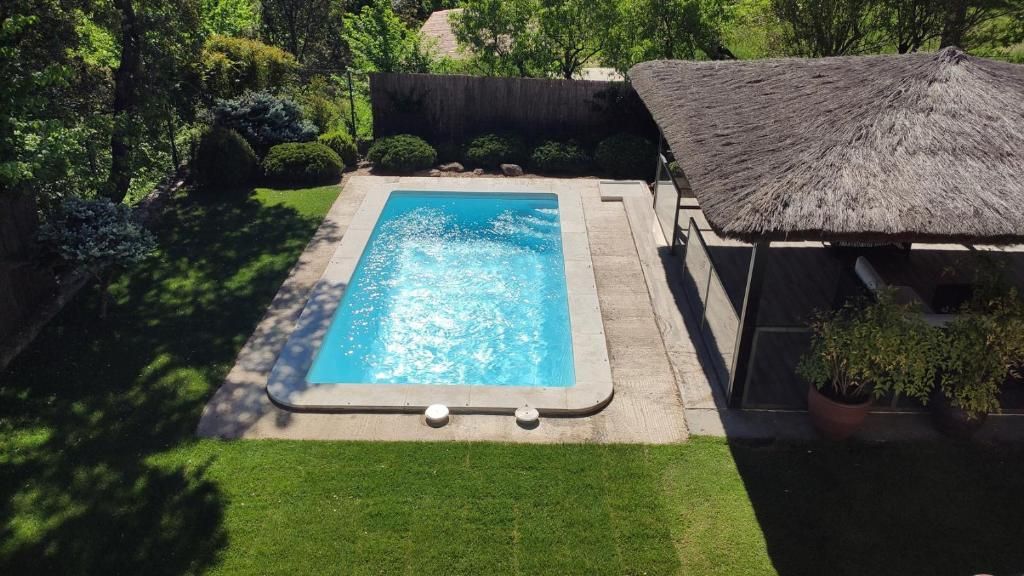 Piscina rectangular con borde de piedra, rodeada por un césped cuidado y diversas plantas.
