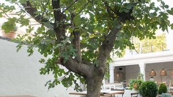An outdoor seating area with tables and chairs, a tree, and potted plants.