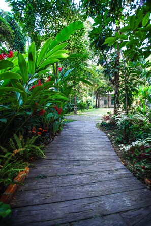 Un sendero de madera rodeado de abundante vegetación y plantas tropicales.