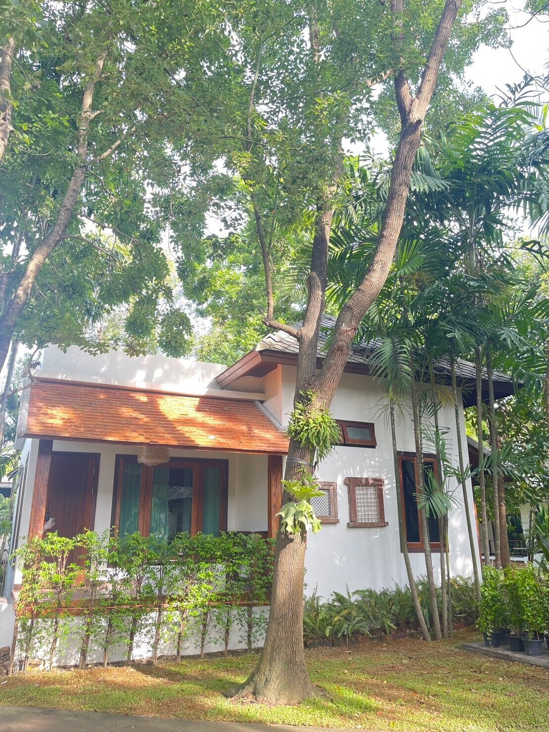 A white building with a sloped roof, surrounded by lush greenery and trees.