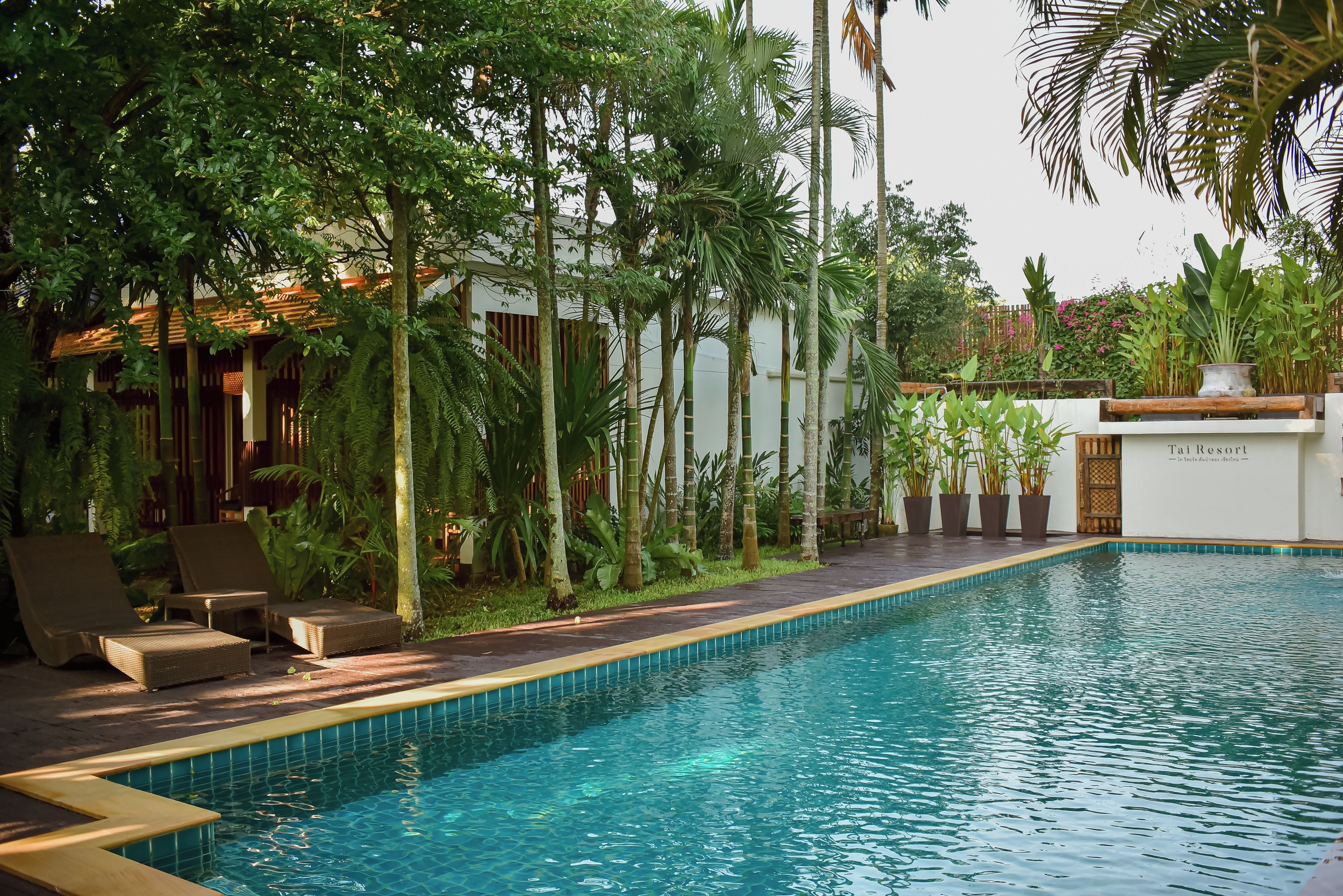 Une piscine dont le bord est revêtu de carrelage, entourée d’une végétation luxuriante et dotée d’une terrasse en bois avec des chaises longues.