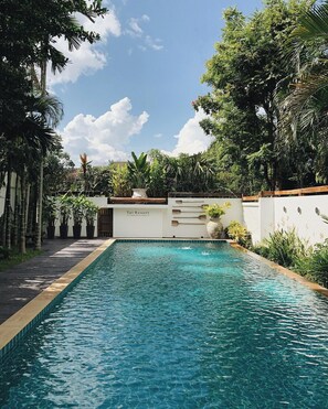 A rectangular swimming pool with clear blue water, surrounded by a low white wall and lush greenery. - Tai resort (San Pa Thong)