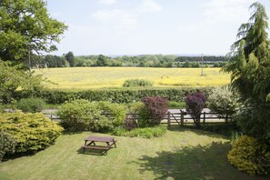 A picnic table in a grassy area with a view of a yellow field and trees.