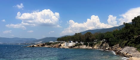 Playa