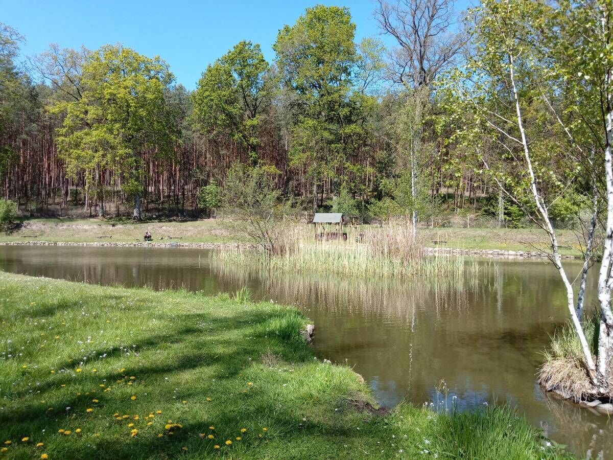 Um lago tranquilo rodeado por árvores e grama, com uma pequena construção ao fundo.