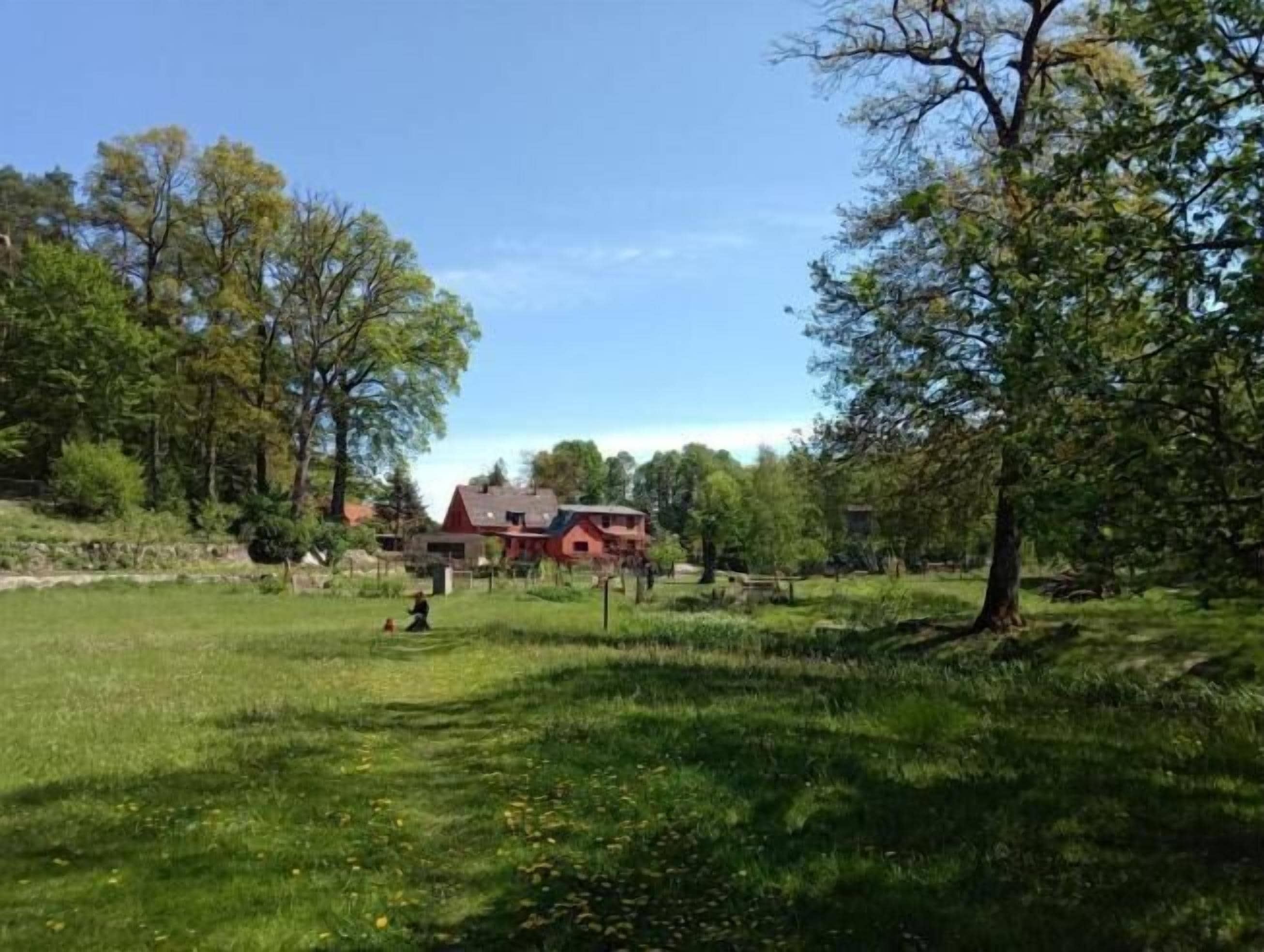 Een landelijke omgeving met een huis, omringd door bomen en open velden.