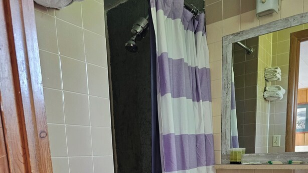 Un baño con ducha, lavabo y espejo.