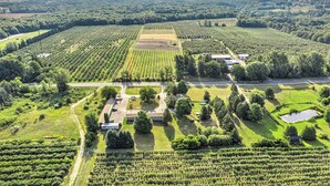 An aerial view of a vineyard with rows of grapevines, a small building, and a road. - The Last Resort (Hart)