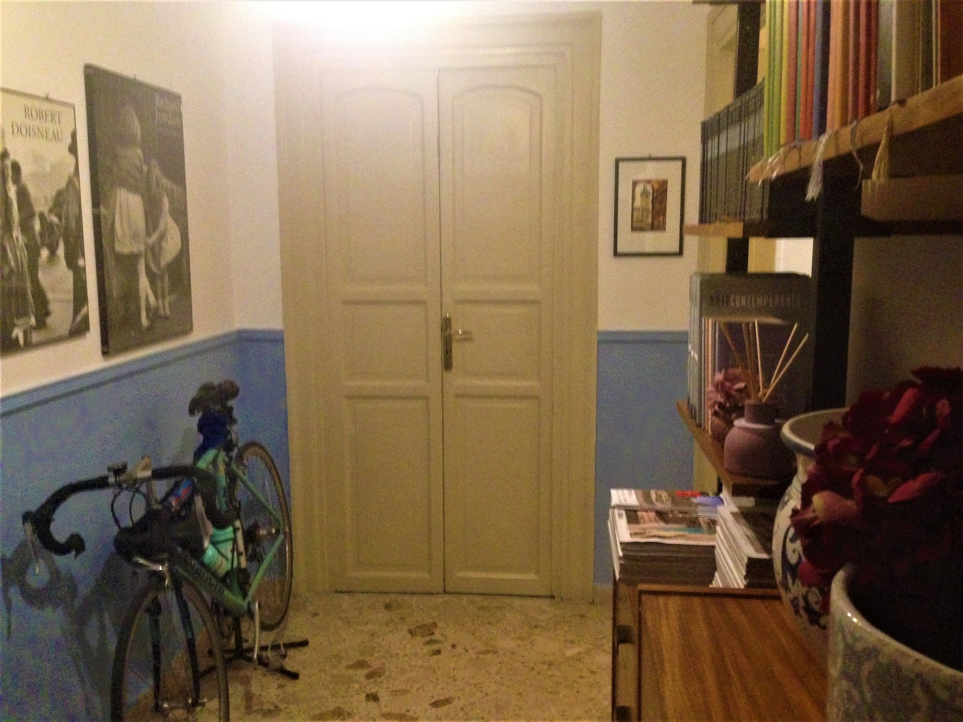 Una habitació amb una porta tancada, una bicicleta, una estanteria plena de llibres i un vas amb flors.