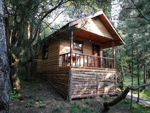 1 bedroom, desk, free WiFi