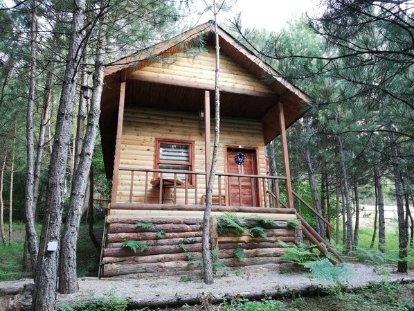 1 bedroom, desk, free WiFi