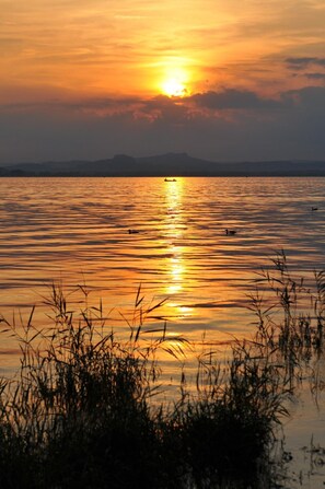 Enjoy serene views of a calm body of water, surrounded by natural beauty.