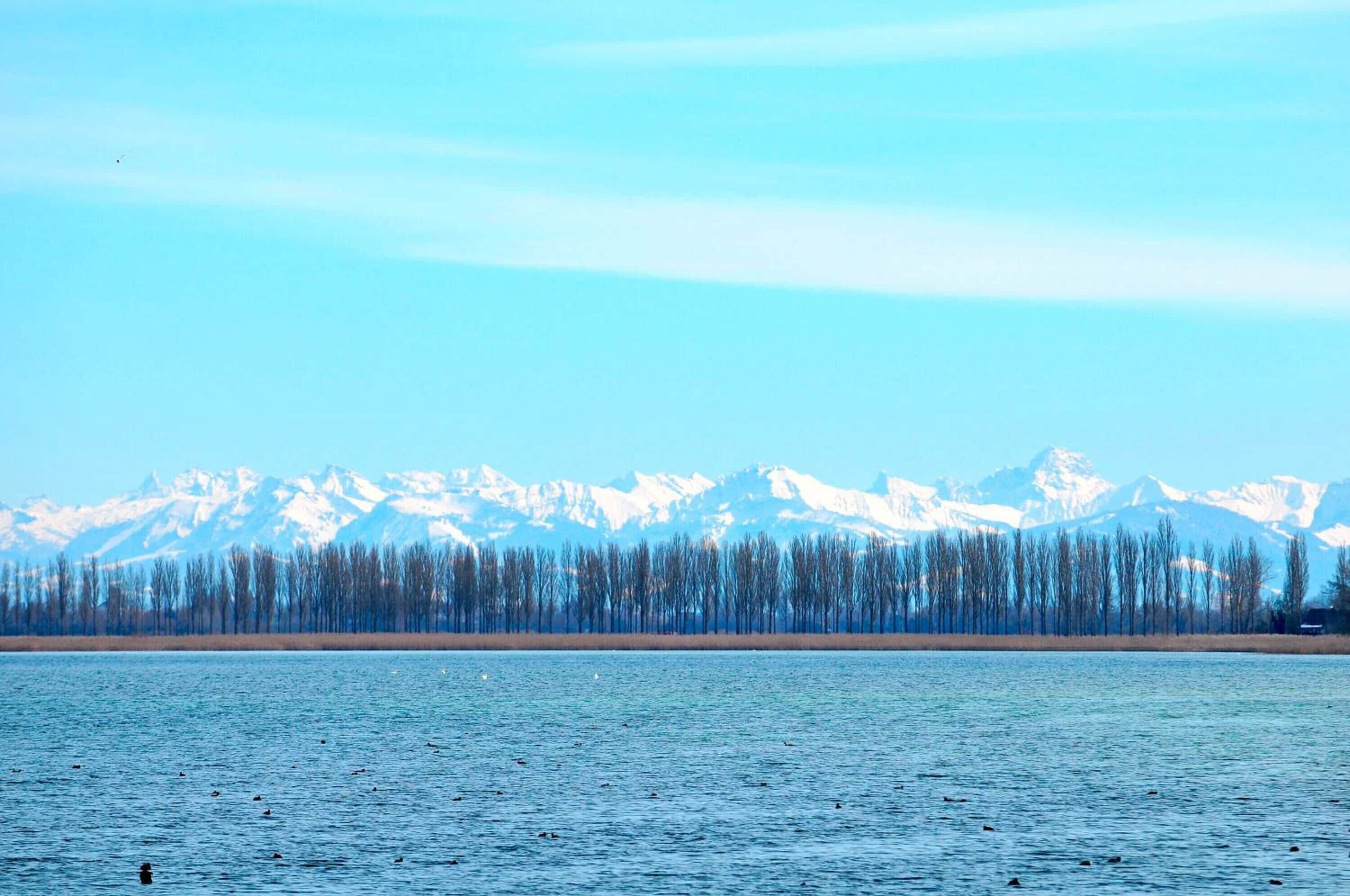 A lake with a forest and snow-capped mountains in the background.