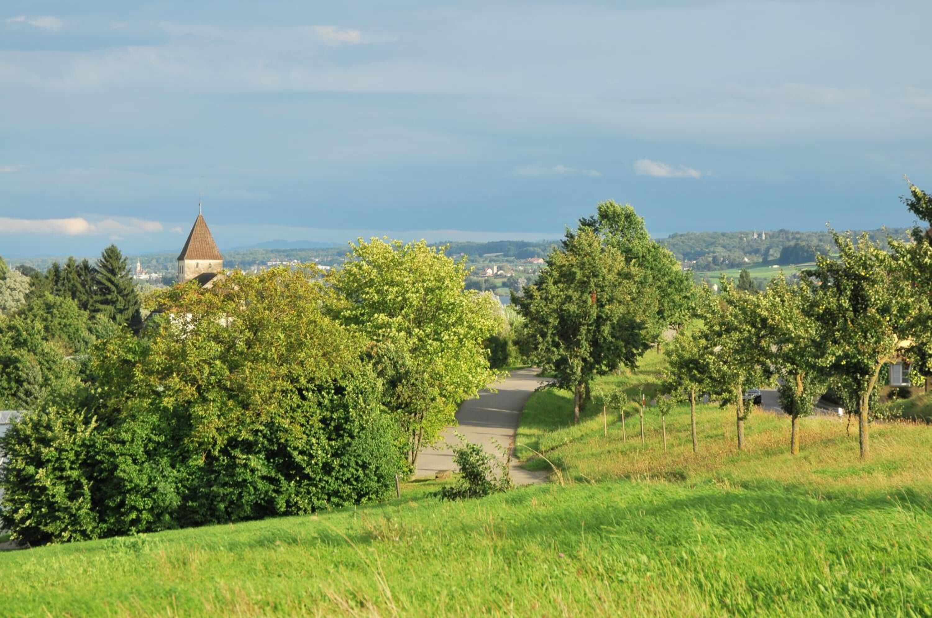A pathway leading through a green landscape with trees and a distant building.