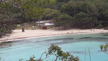 Playa en los alrededores
