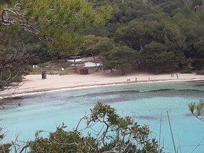 Playa en los alrededores 