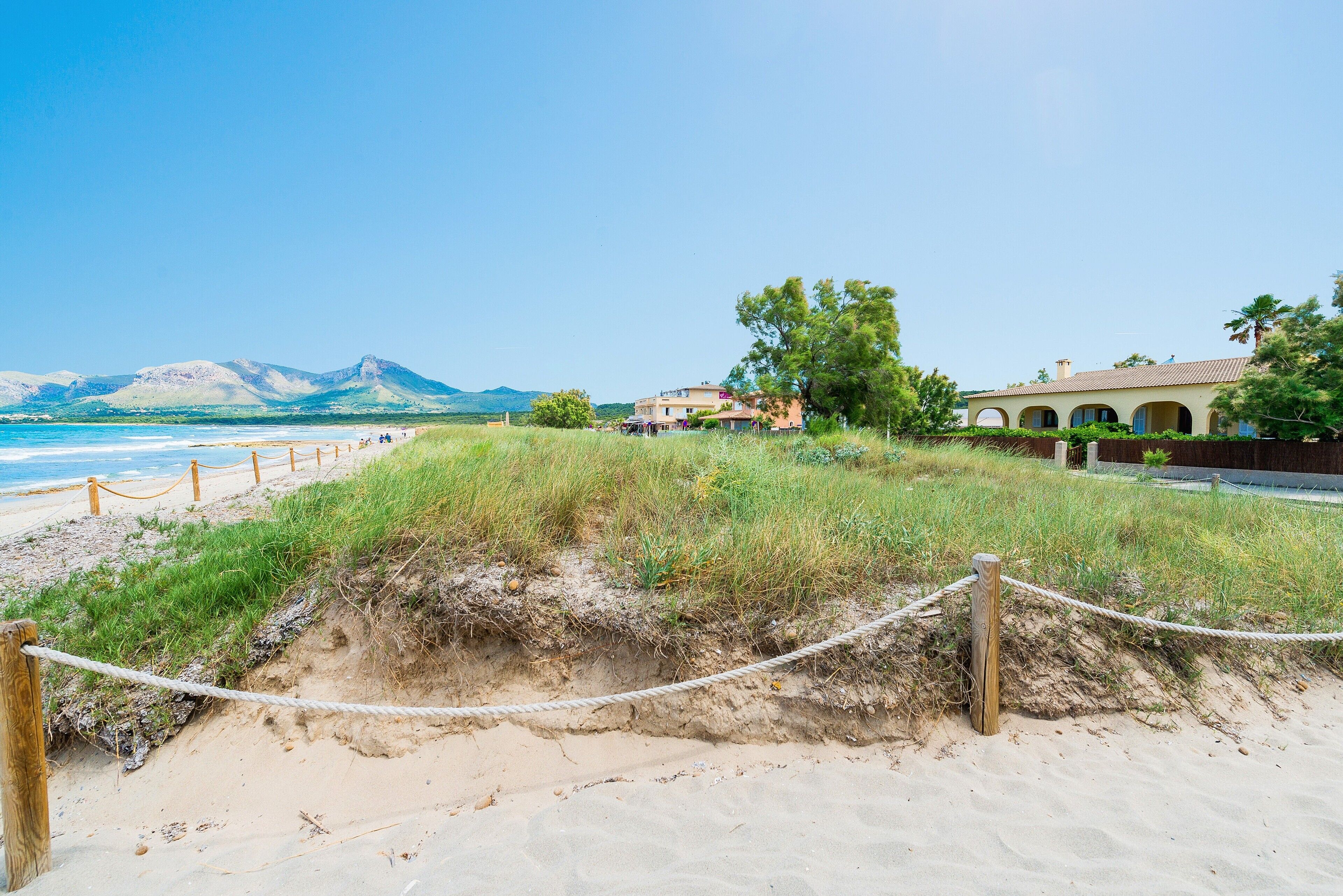 Strand