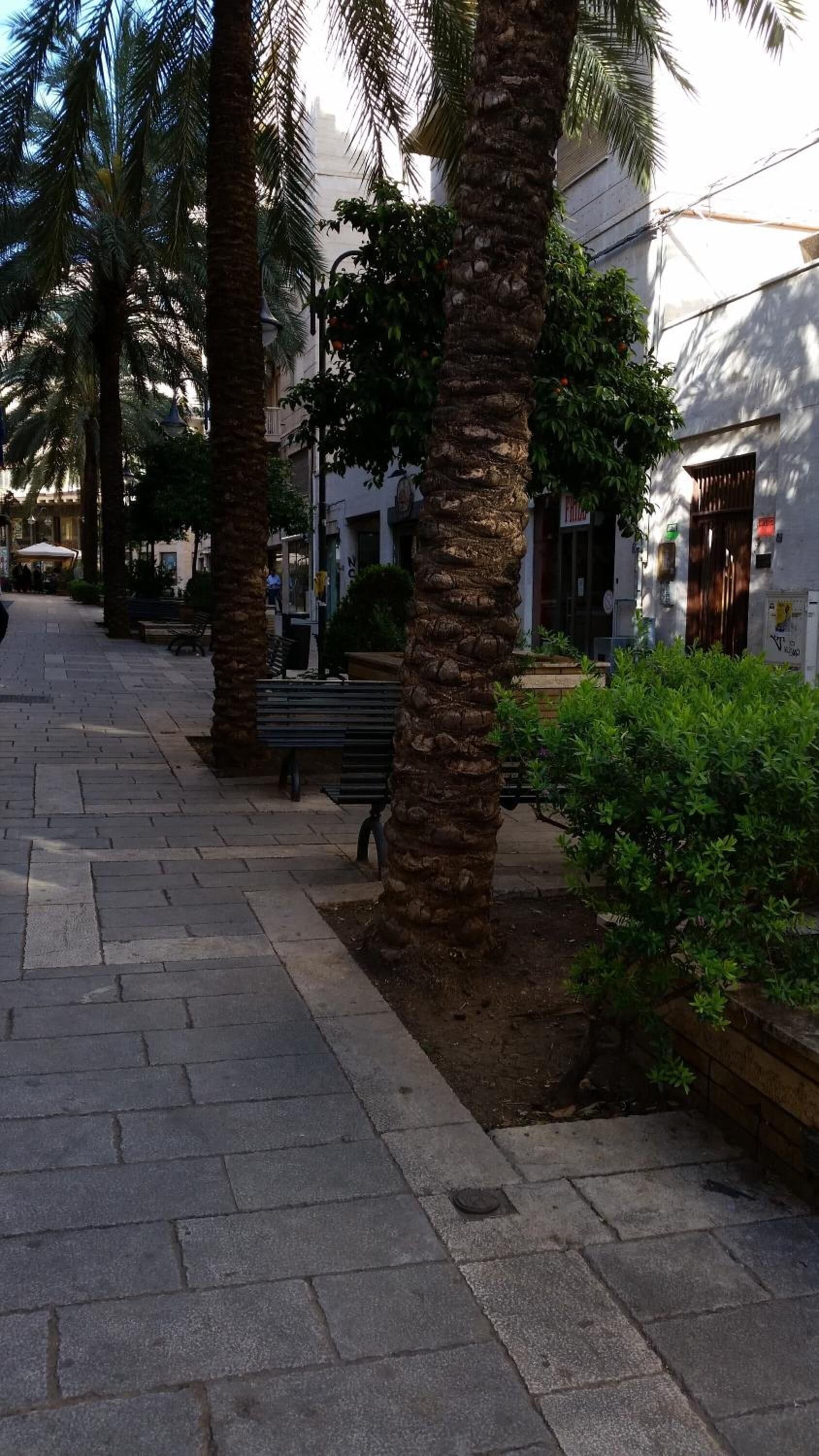 Photo - B&B Casa Rosellina