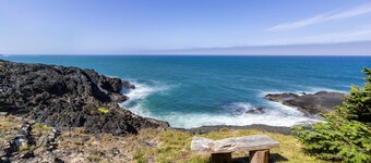 Dog-friendly cottage with amazing ocean views, whale watching