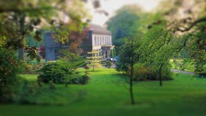 Ein Park mit einem Gebäude im Hintergrund.