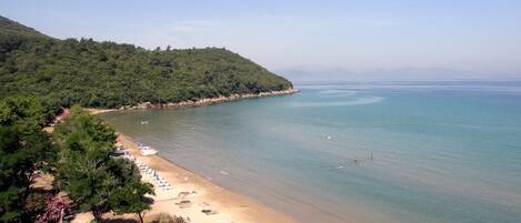 A coastal beach with a wooden staircase leading down to the shore, surrounded by dense greenery and clear blue waters.