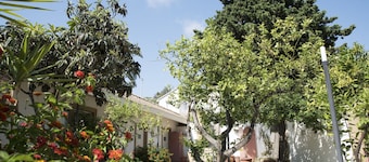 L'Albero