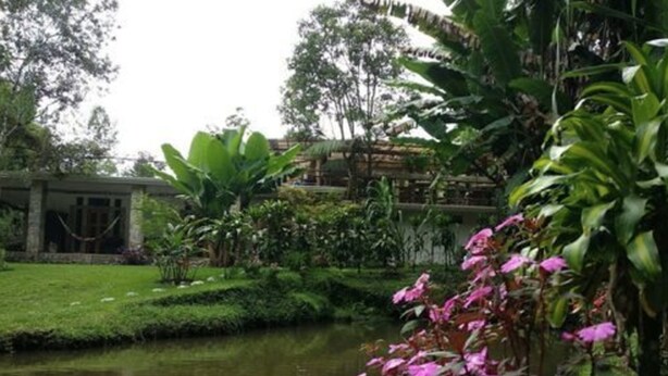 Un jardín tranquilo con un estanque, abundante vegetación y un edificio de fachada de piedra.