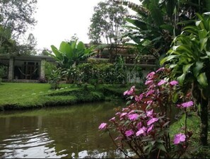 A serene garden with a pond, lush greenery, and a building with a stone facade. - Paraiso San José - Hostel (Santa Cruz Verapaz)
