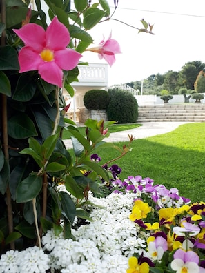 Garden - Villa Natia (Mottola)