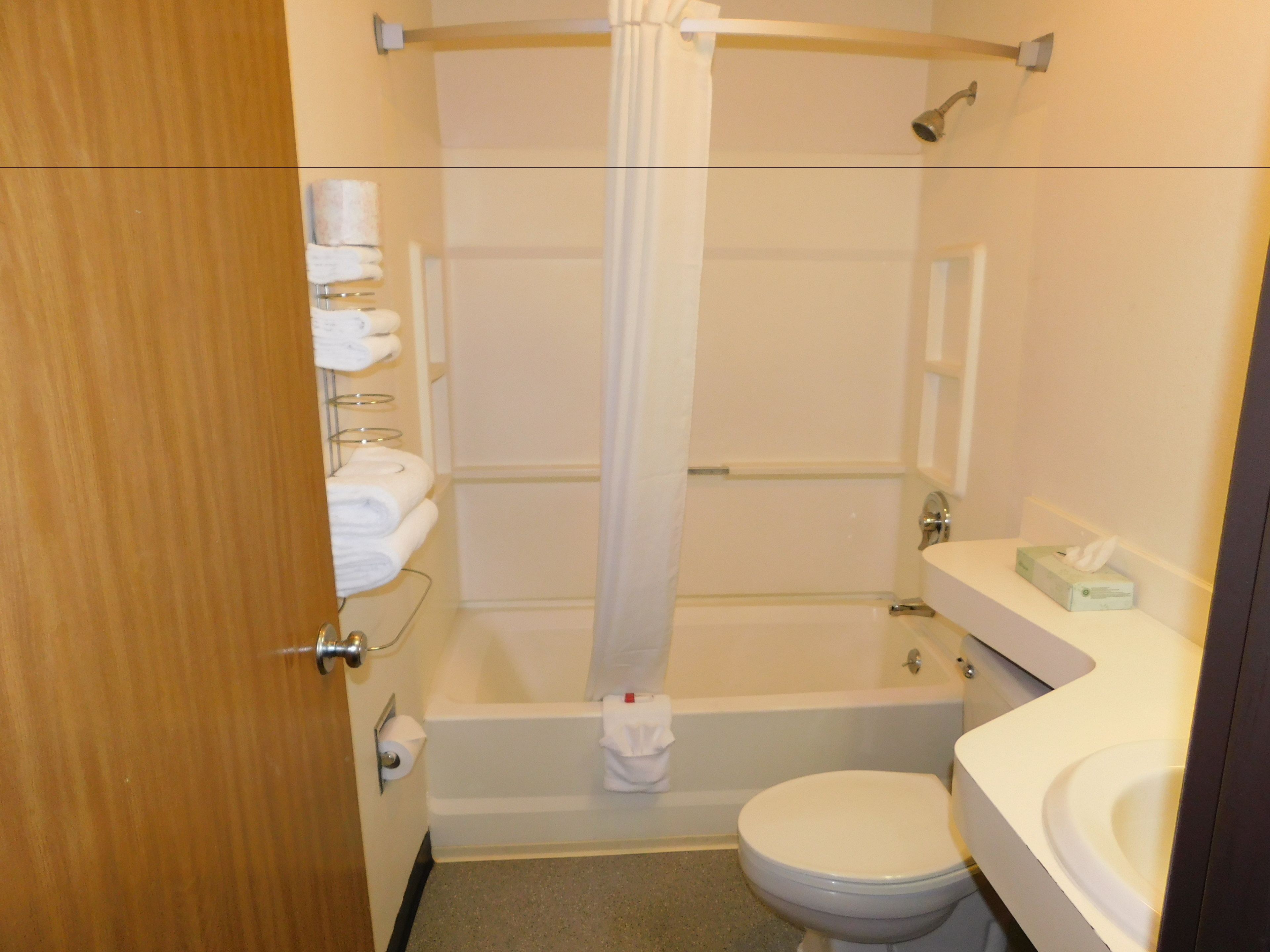 standard room, 1 king bed, refrigerator & microwave | bathroom | shower, rainfall showerhead, free toiletries, hair dryer