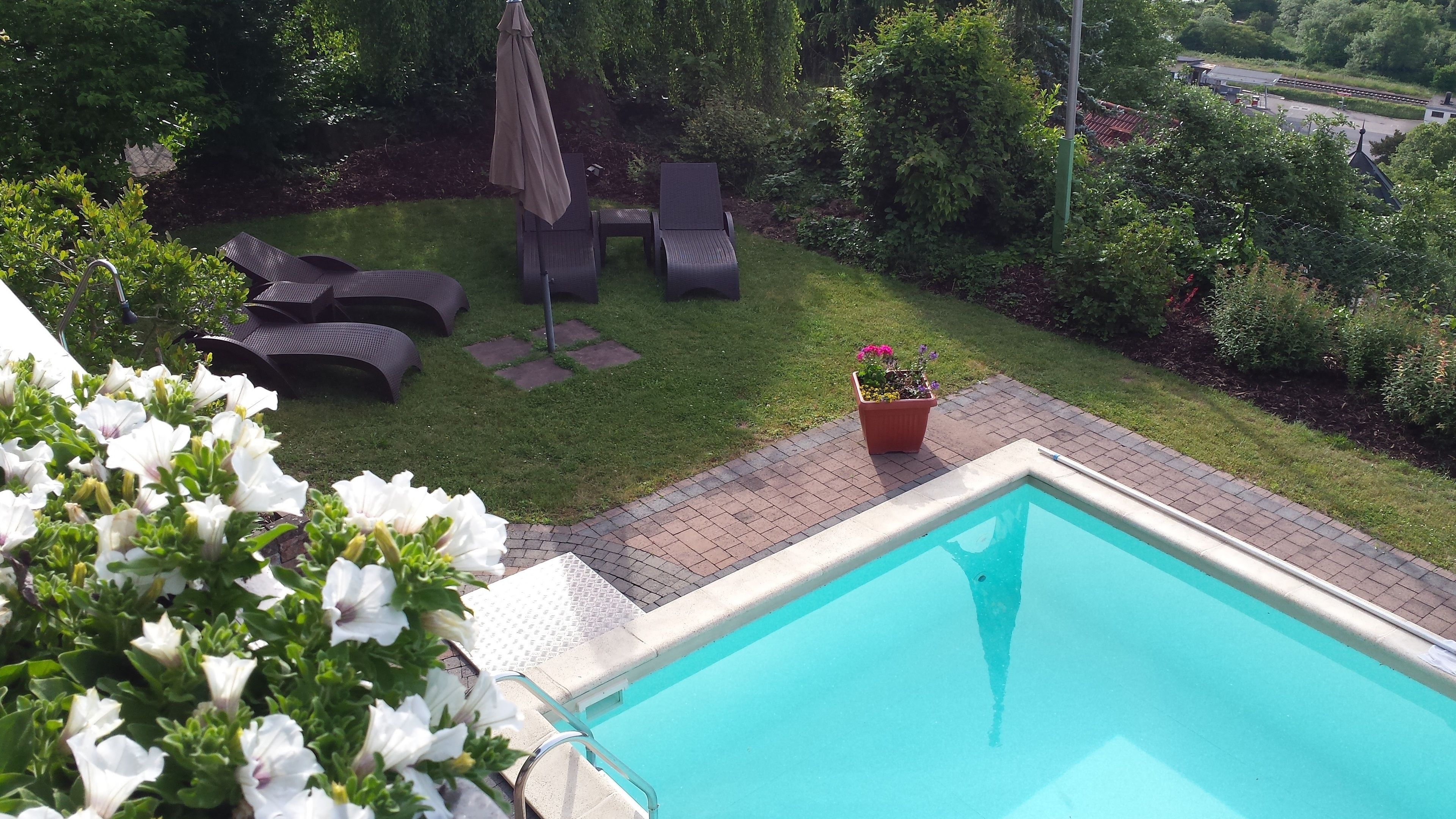 A backyard with a swimming pool, a grassy lawn, and lounge chairs.
