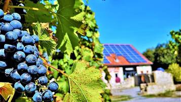 Khuôn viên nơi lưu trú