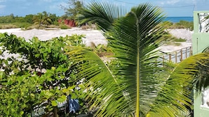 Blick auf einen Strand mit Palmen und blauem Himmel.