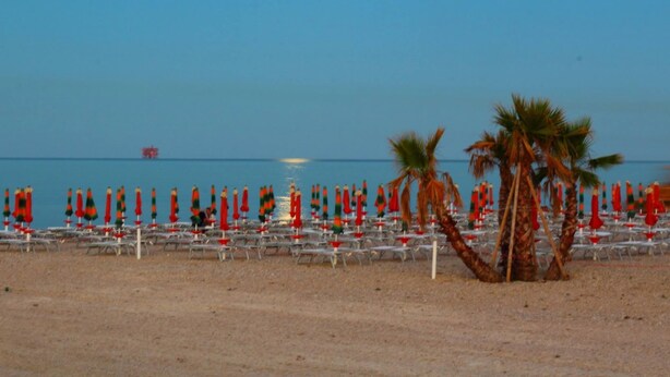 A beach with rows of sun loungers and palm trees, a calm sea, and a boat in the distance. - B&B Santa Maria Apparente (Civitanova Marche)