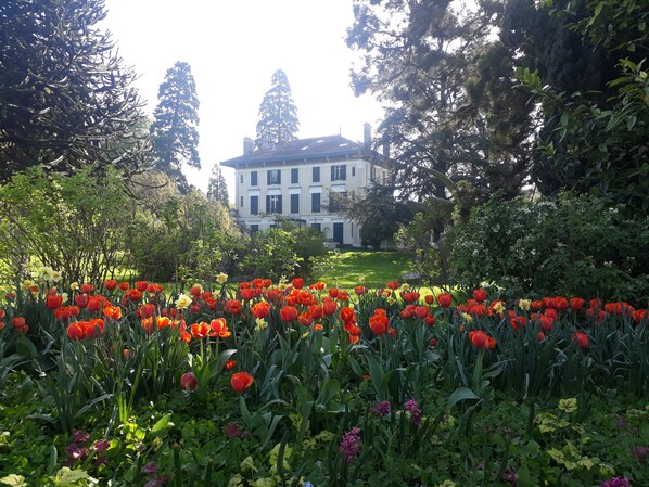 Vista desde la propiedad