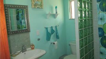 Casa, varias camas, para no fumadores | Baño | Regadera y toallas