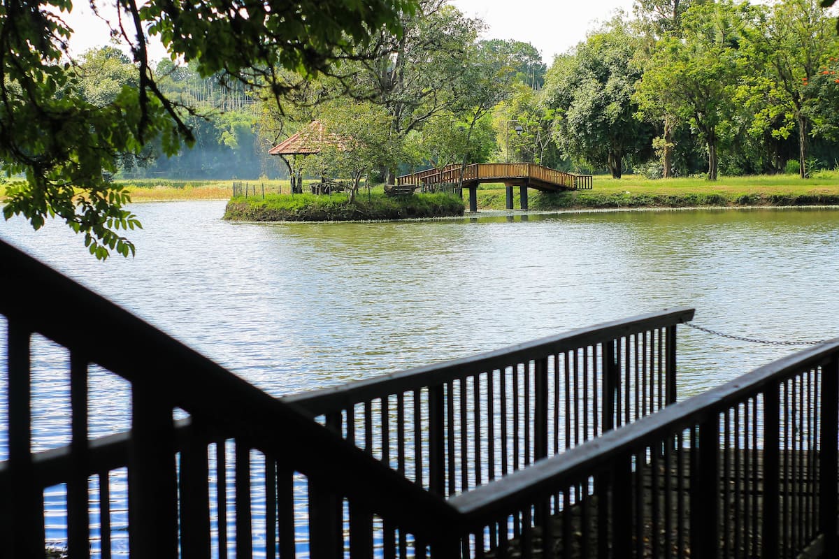 suíte do lago | lake