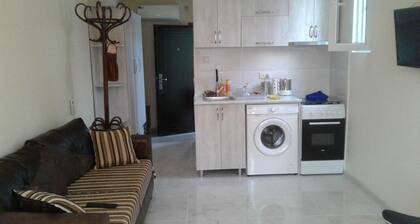 otel Maksim ulica inasaridze 1a