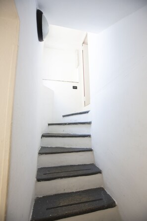 Parte interna