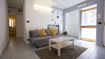 Smart TV, DVD player, books, video library